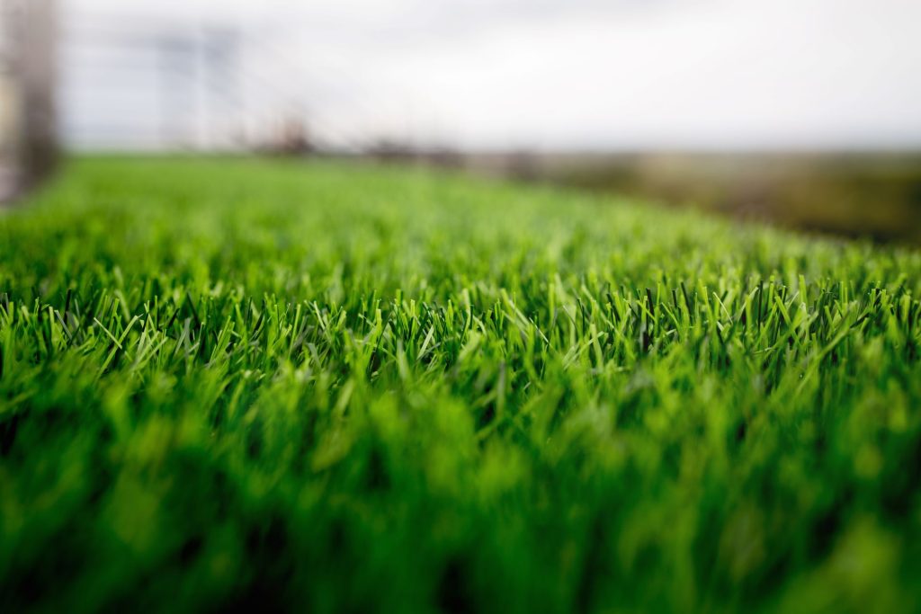 artificial turf installation in Rowlett