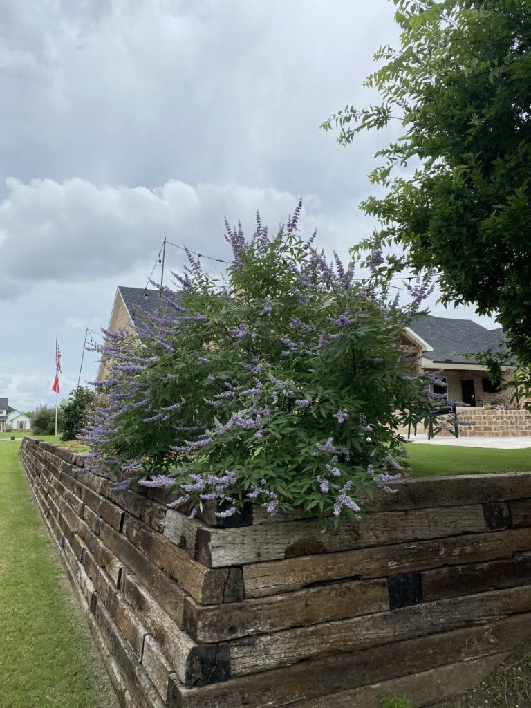 Retaining Walls and hardscaping