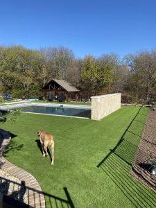 Pet-Friendly Turf